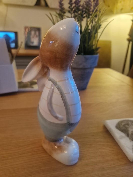 Large pretty Gazing Hare