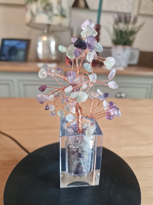Crystal Mini Tree with Clear Vase H18cm: Colourful Fluorite