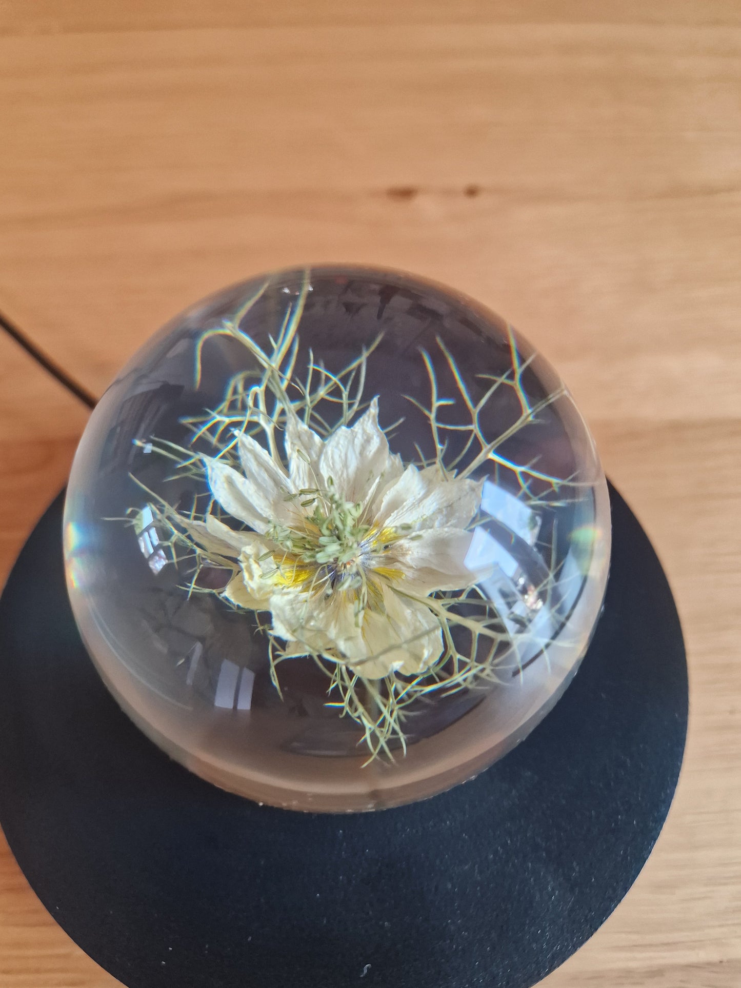 Fennel Flower Crystal Resin Lens Ball 80mm