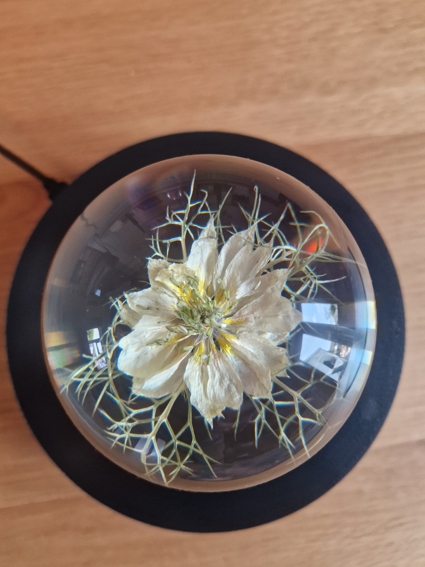 Fennel Flower Crystal Resin Lens Ball 80mm