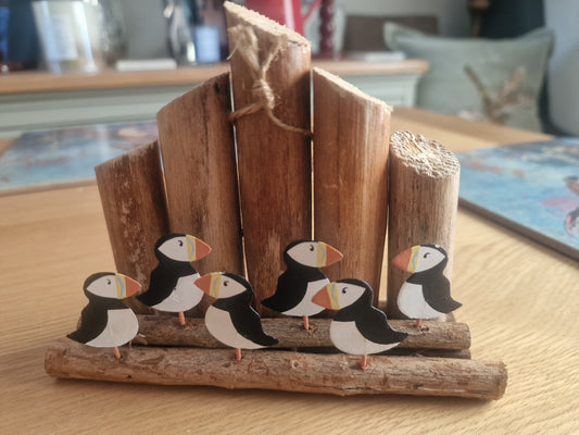 Six Puffins with Groynes Scene