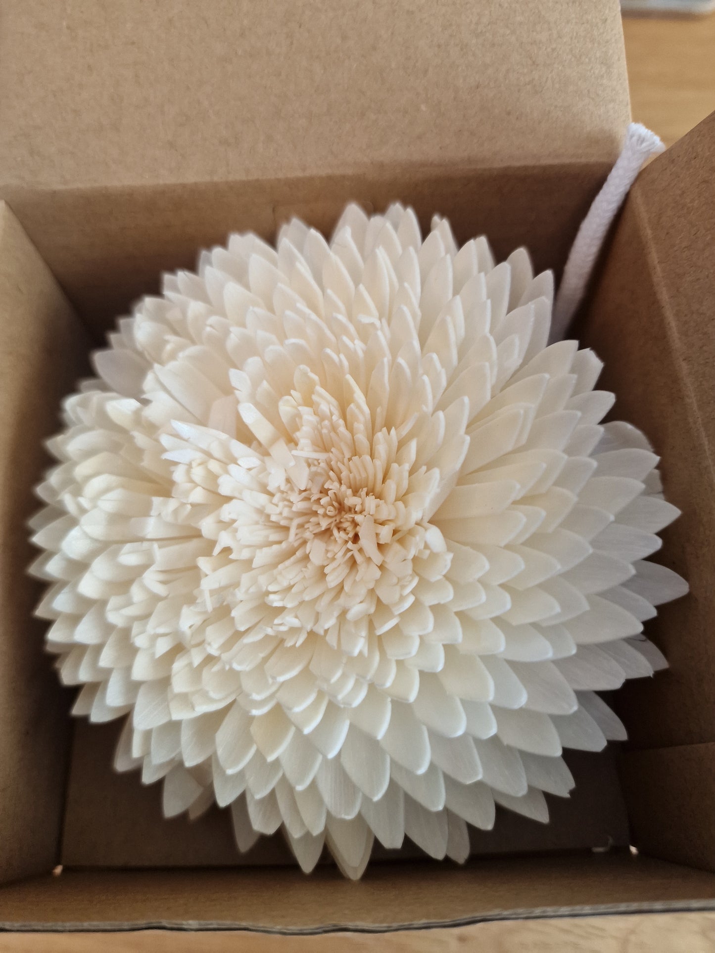 Decorative Chrysanthemum Diffuser Flower | Sola Wood | 12cm