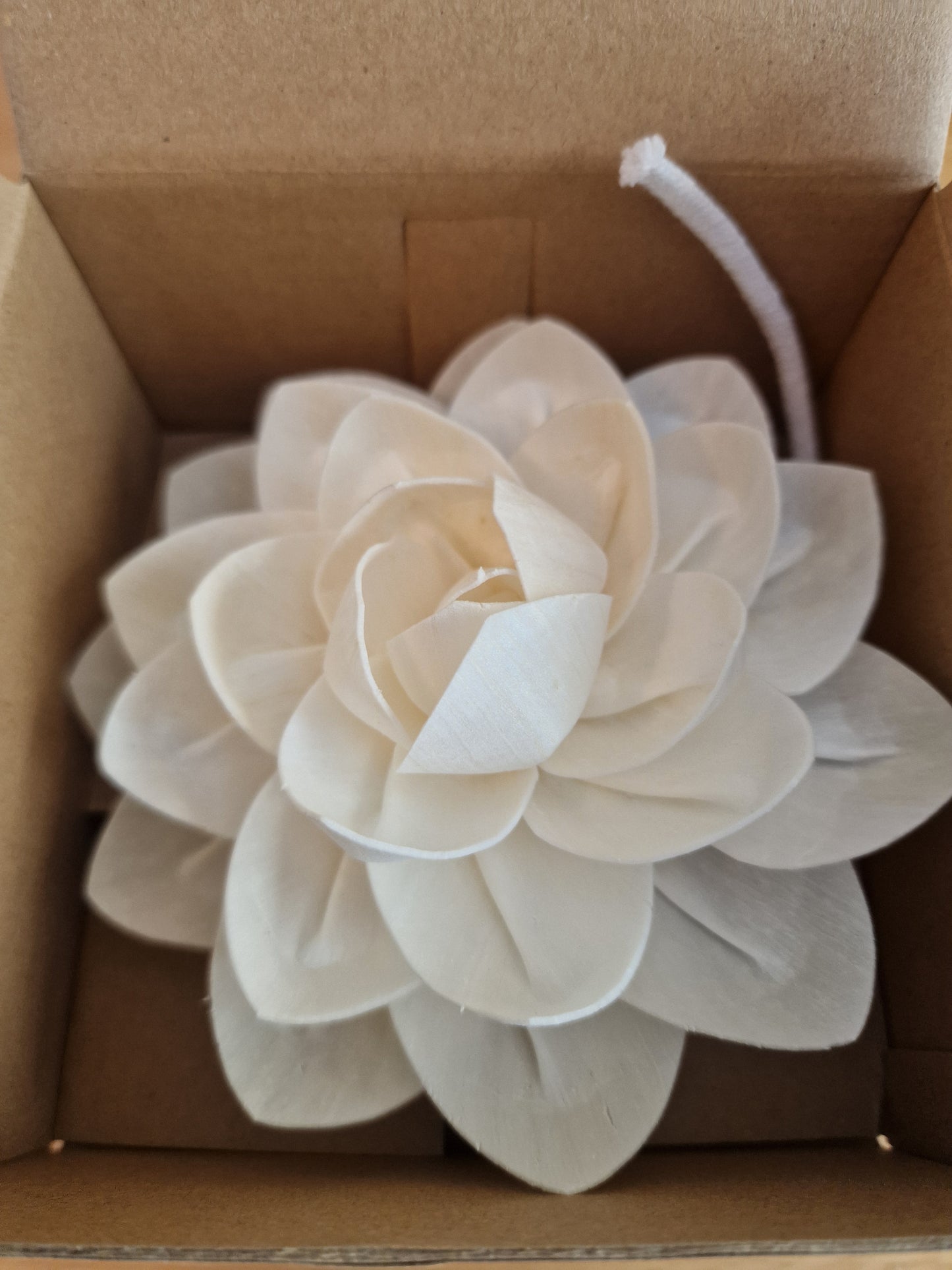 Decorative Rose Diffuser Flower | Sola Wood | 13cm