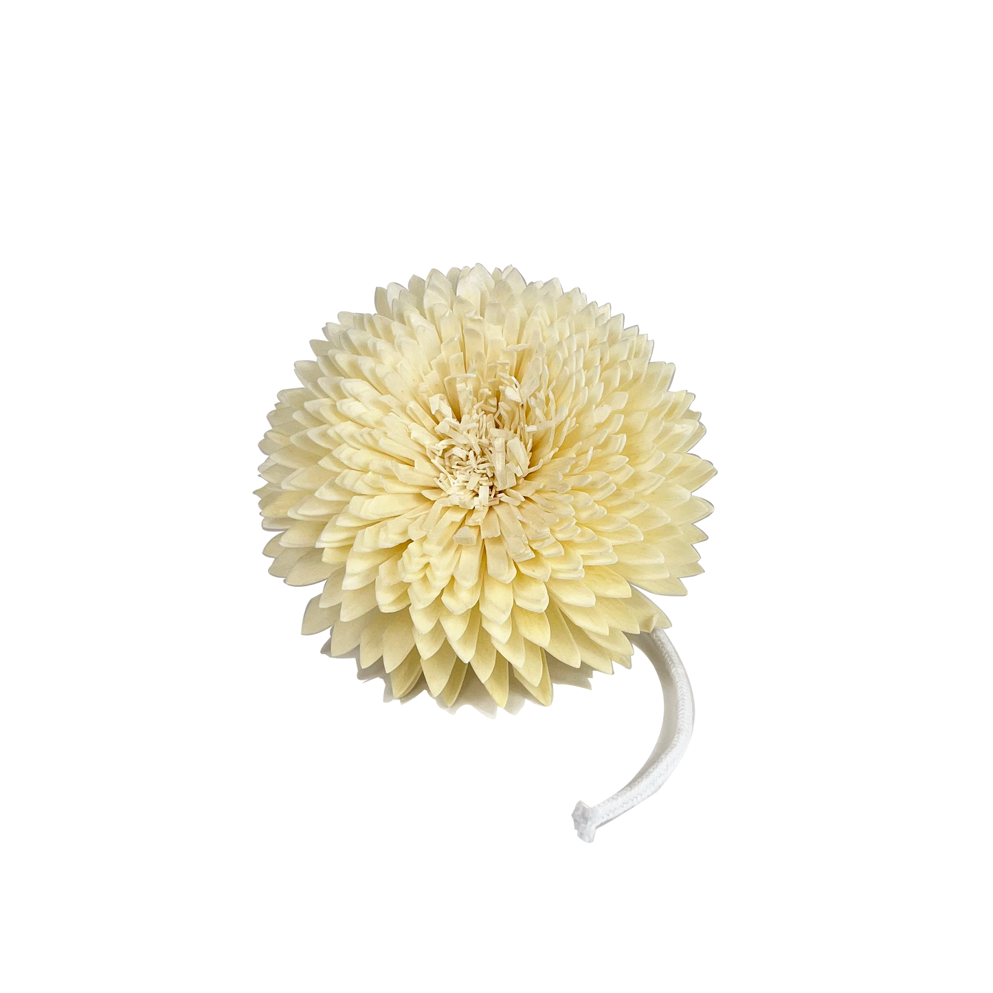 Decorative Chrysanthemum Diffuser Flower | Sola Wood | 12cm