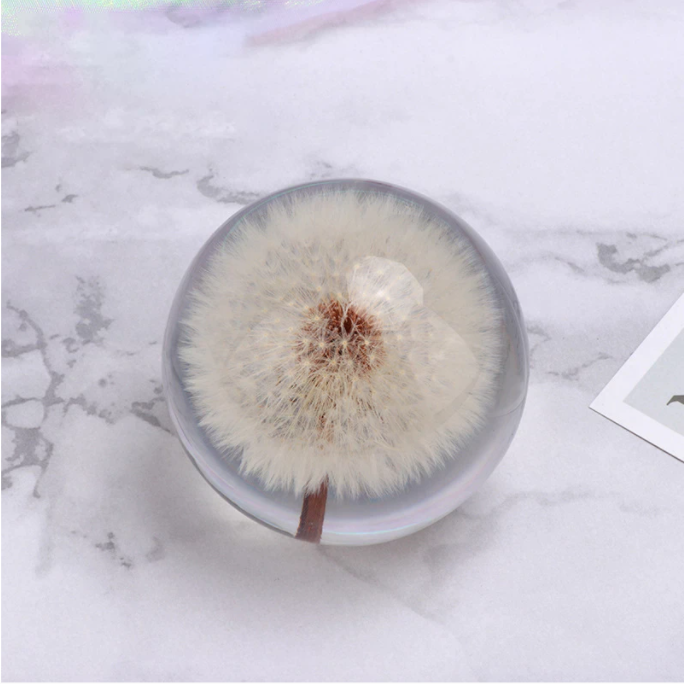 Dandelion Crystal Resin Lens Ball 80mm | Gift Boxed