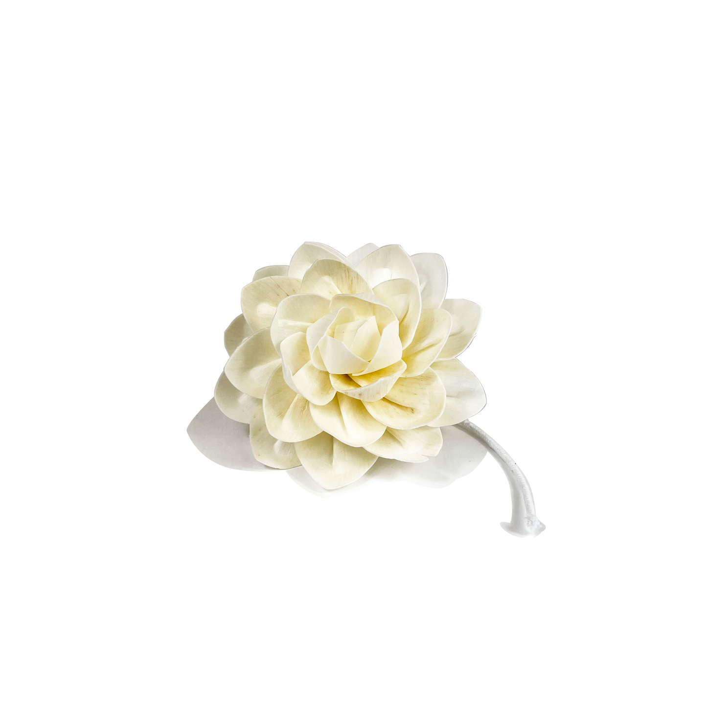Decorative Rose Diffuser Flower | Sola Wood | 13cm