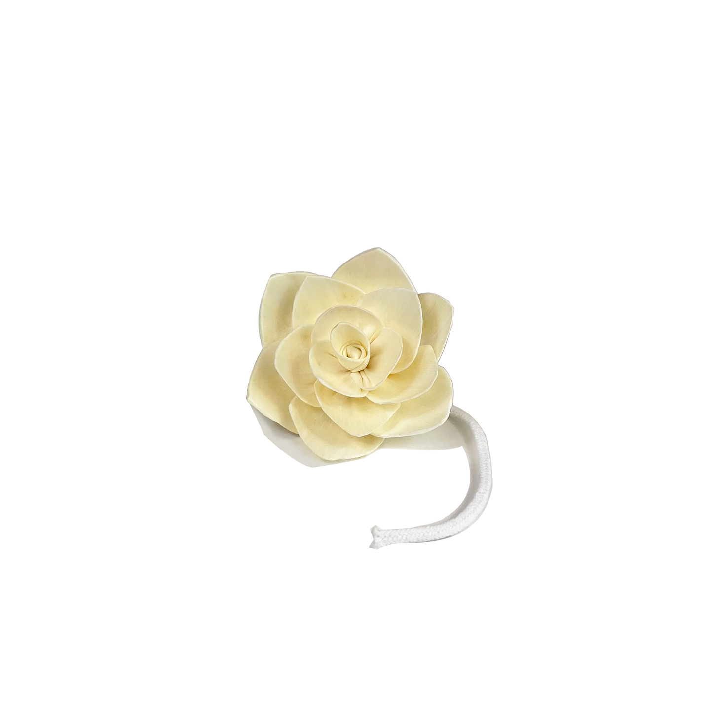 Decorative Jasmine Diffuser Flower | Sola Wood | 8cm