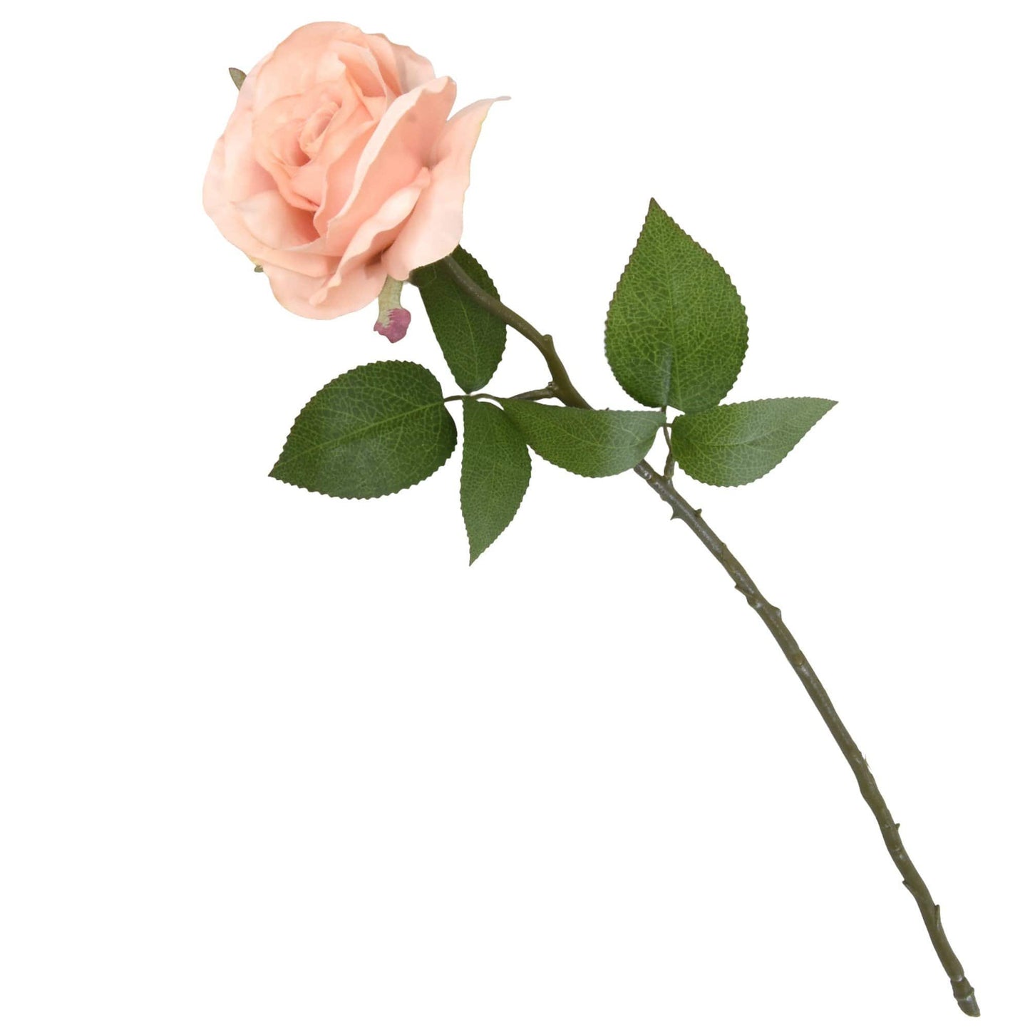 Artificial Open Rose - Light Peach H54cm