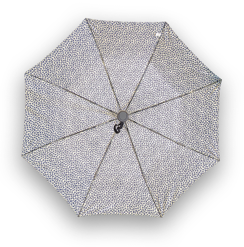 Auto Open Compact Umbrella - 3 Patterns - L31cm Closed