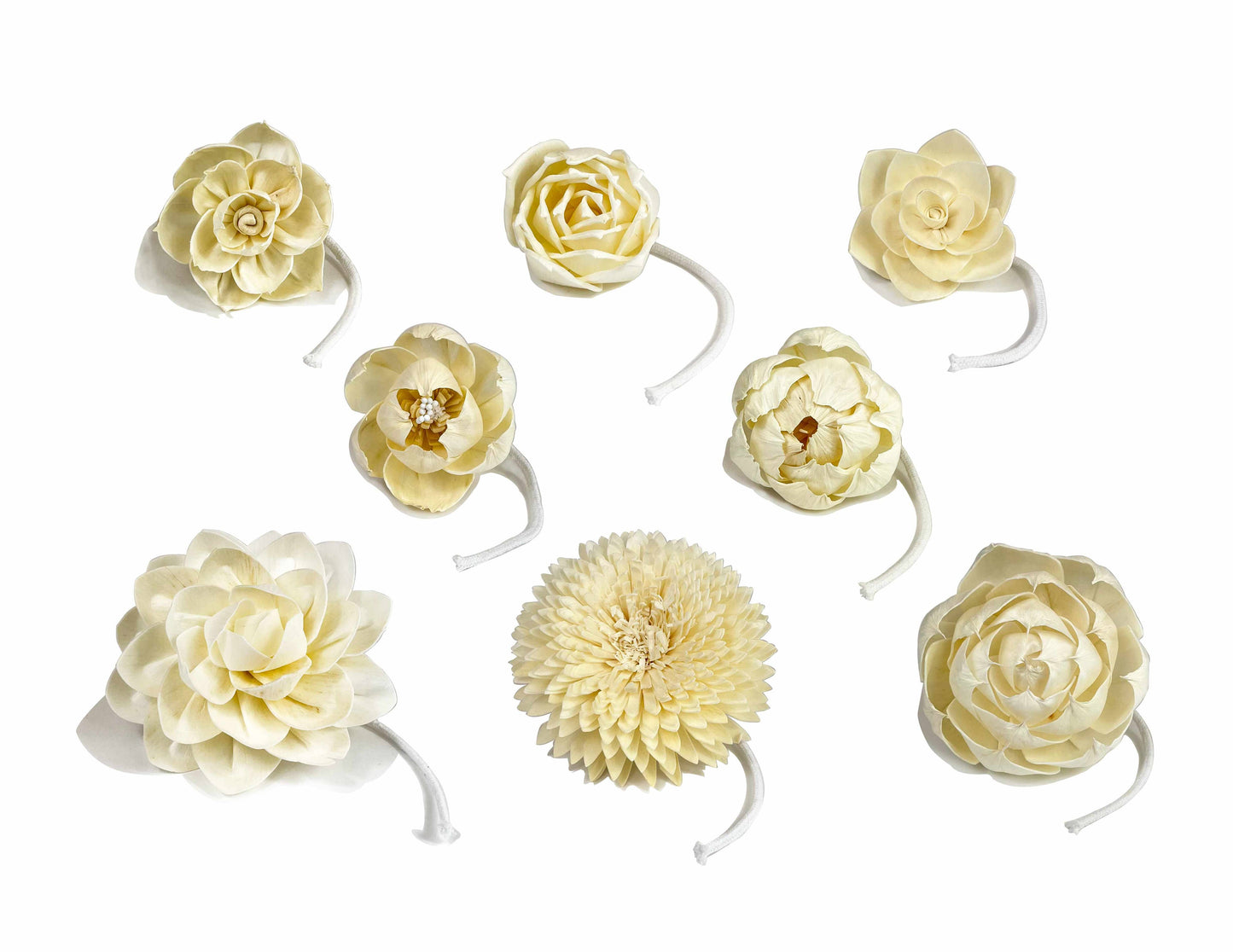Decorative Jasmine Diffuser Flower | Sola Wood | 8cm